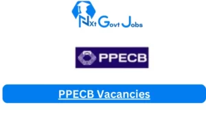 PPECB Vacancies 2025: Top x7 Jobs to Apply @ppecb.com