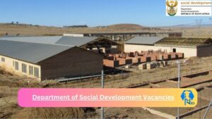 x1 Department of Social Development Vacancies 2025 Opportunities @www.dsd.gov.za Vacancies Portal