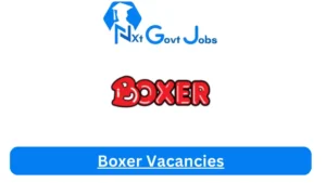 Boxer Vacancies 2025: Top x14 Jobs to Apply @www.boxer.co.za