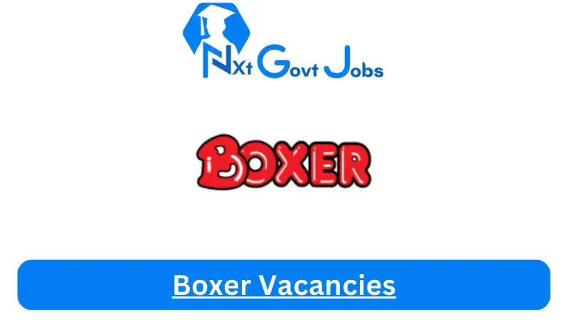 Boxer Vacancies 2025: Top x11 Jobs to Apply @www.boxer.co.za