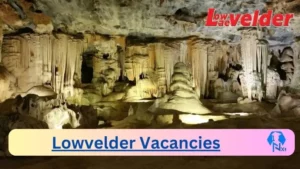 Lowvelder Vacancies 2025: Top x3 Jobs to Apply @www.citizen.co.za