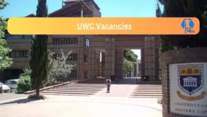 UWC Vacancies 2025: Top x13 Jobs to Apply @www.uwc.ac.za