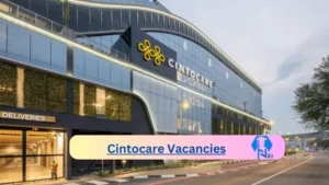 Cintocare Vacancies: Top x6 Jobs to Apply @www.cintocare.com