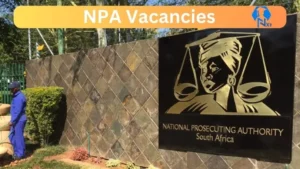 NPA Vacancies 2025: Top x1 Jobs to Apply @www.npa.gov.za