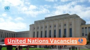 United Nations Vacancies 2025: Top x1 Jobs to Apply @unjobs.org